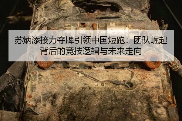 su-bing-tian-jie-li-duo-pai-yin-ling-zhong-guo-duan-pao-tuan-dui-jue-qi-bei-hou-de-jing-ji-luo-ji-yu-wei-lai-zou-xiang-2-203.jpg